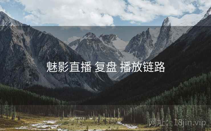 魅影直播 复盘 播放链路  第2张