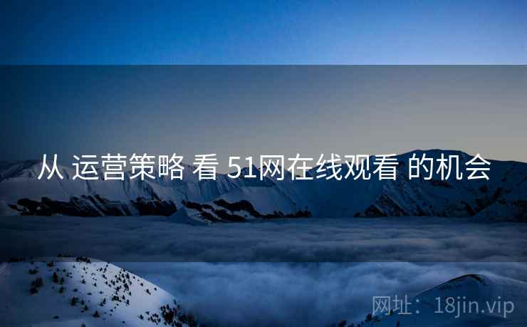 从 运营策略 看 51网在线观看 的机会  第1张