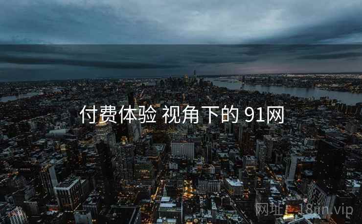 付费体验 视角下的 91网  第1张
