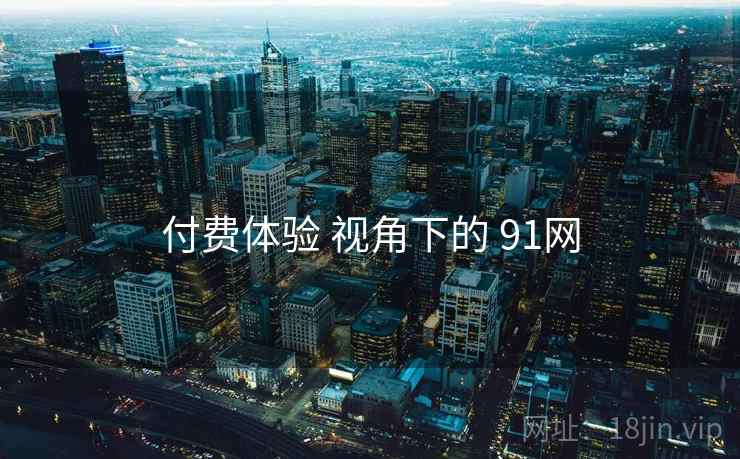 付费体验 视角下的 91网  第2张