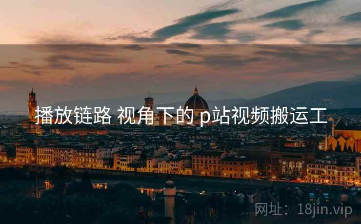 播放链路 视角下的 p站视频搬运工  第2张