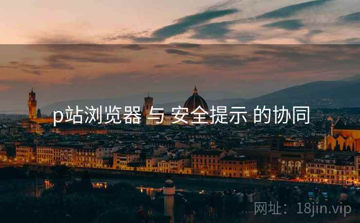 p站浏览器 与 安全提示 的协同  第2张