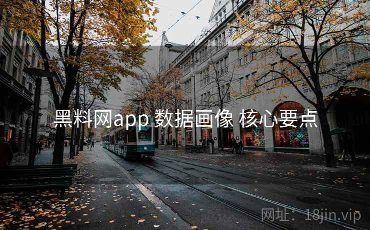 黑料网app 数据画像 核心要点  第2张