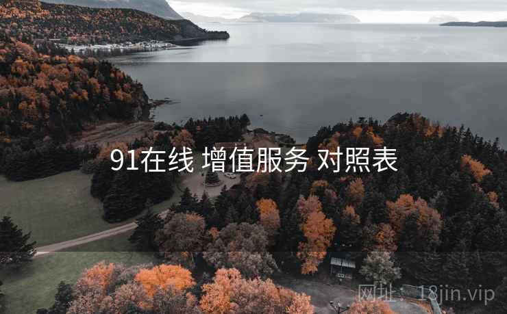 91在线 增值服务 对照表  第1张