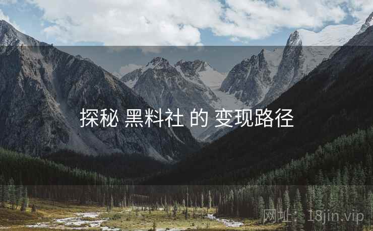 探秘 黑料社 的 变现路径  第2张