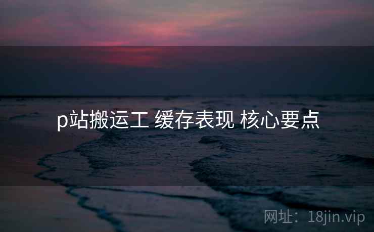 p站搬运工 缓存表现 核心要点  第1张