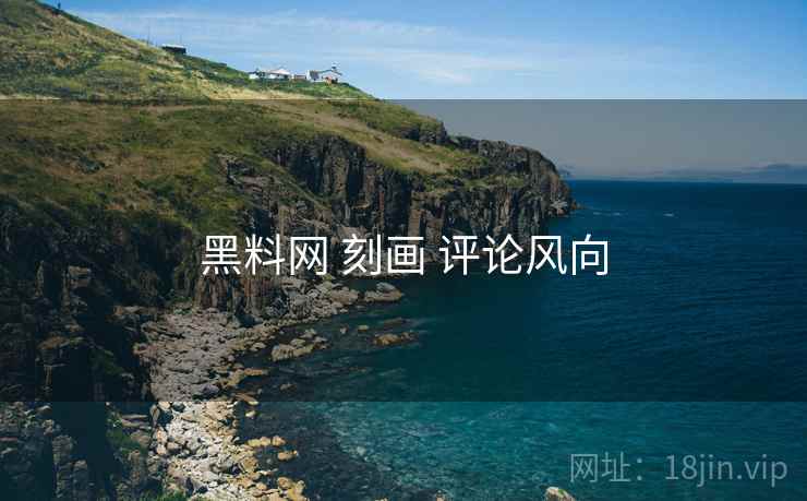 黑料网 刻画 评论风向  第1张