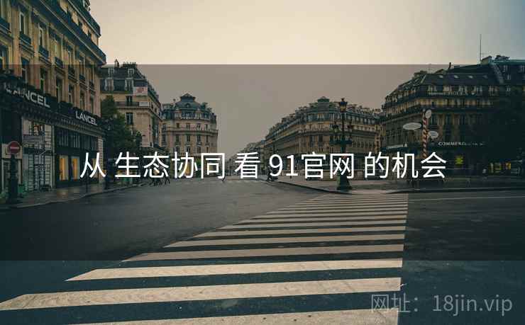 从 生态协同 看 91官网 的机会  第2张
