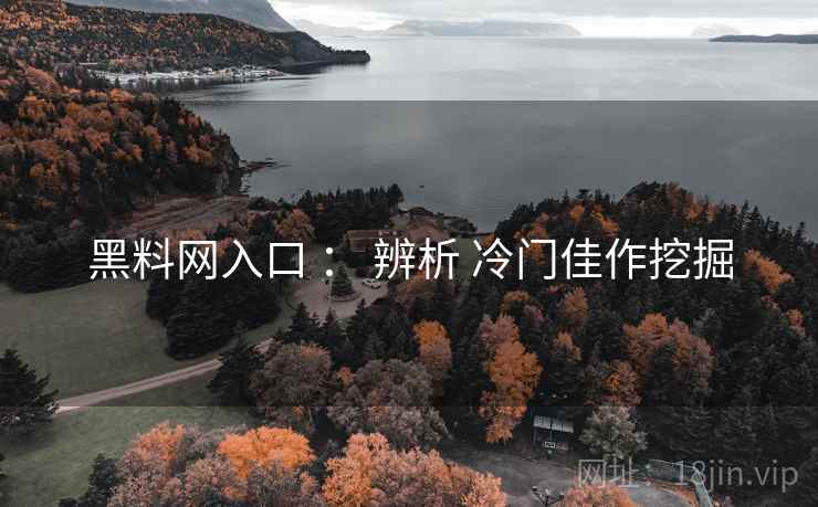 黑料网入口 ： 辨析 冷门佳作挖掘  第1张