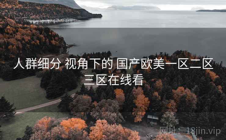 人群细分 视角下的 国产欧美一区二区三区在线看  第1张