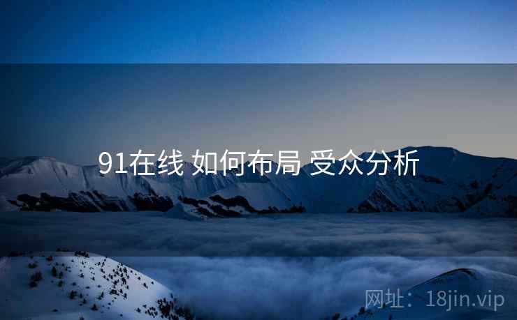 91在线 如何布局 受众分析  第2张