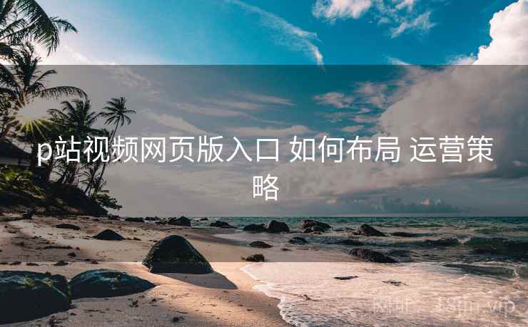 p站视频网页版入口 如何布局 运营策略  第1张