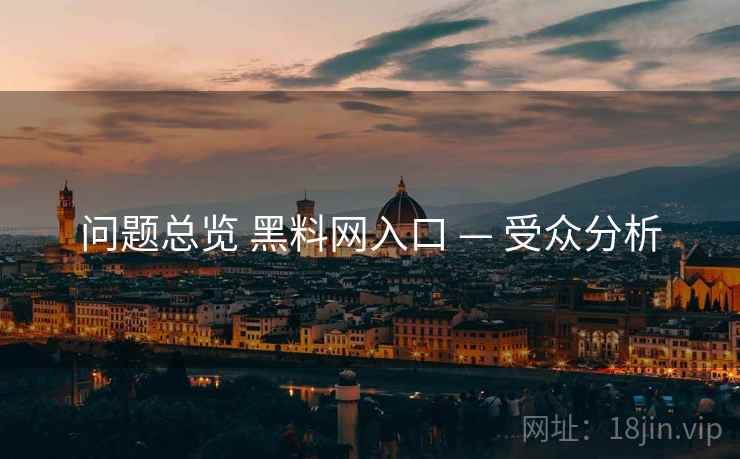 问题总览 黑料网入口 — 受众分析  第1张