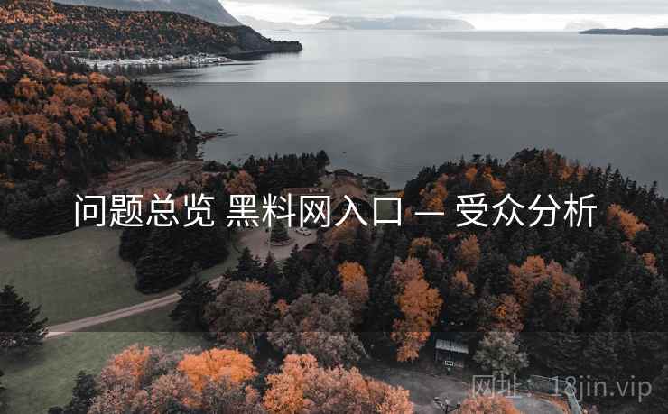 问题总览 黑料网入口 — 受众分析  第2张