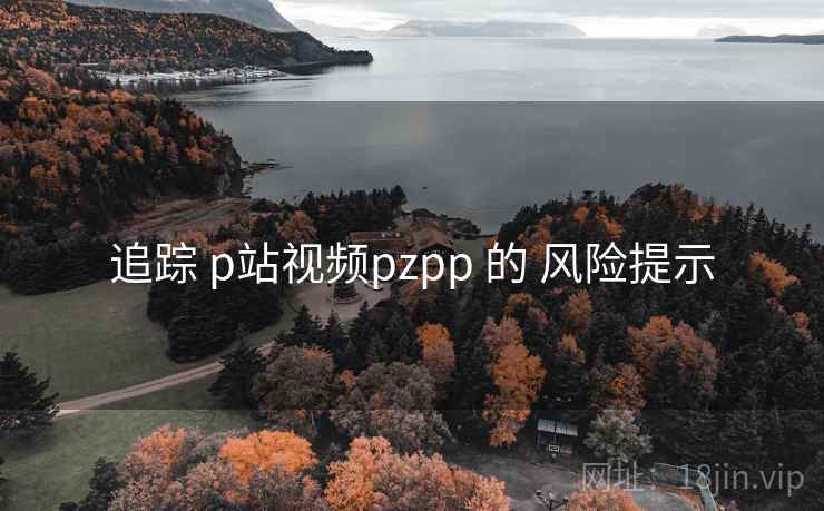 追踪 p站视频pzpp 的 风险提示  第2张