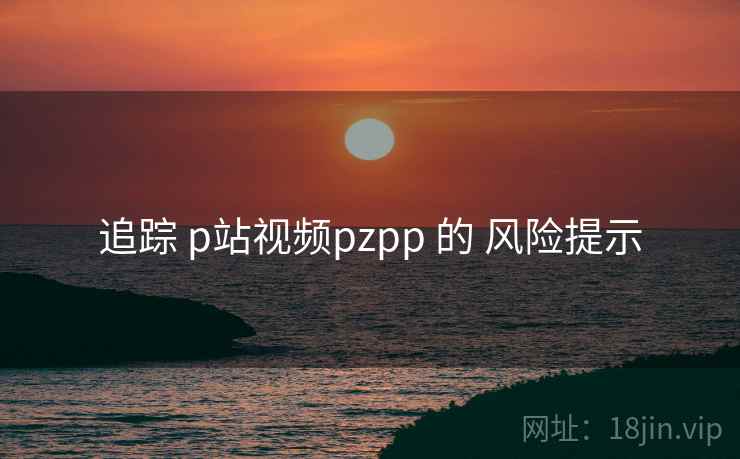 追踪 p站视频pzpp 的 风险提示  第1张