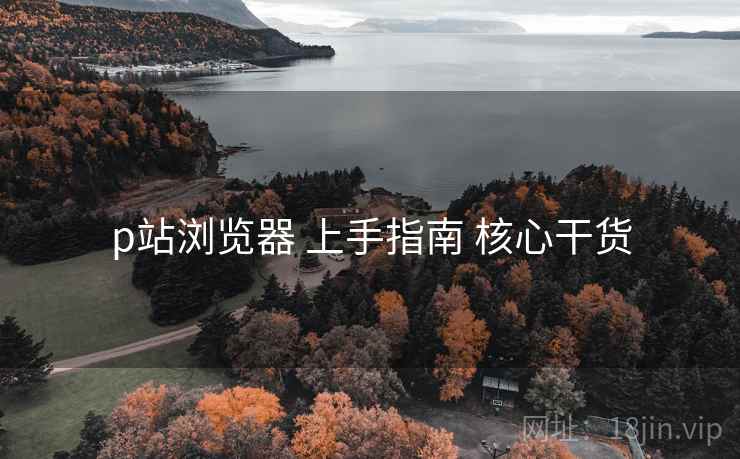 p站浏览器 上手指南 核心干货  第1张