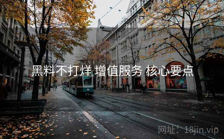 黑料不打烊 增值服务 核心要点  第2张
